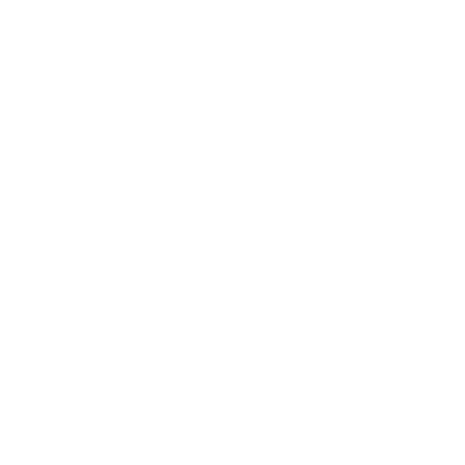 ICON SKINZ.PRO CUSTOM BRANDED SKINCARE
